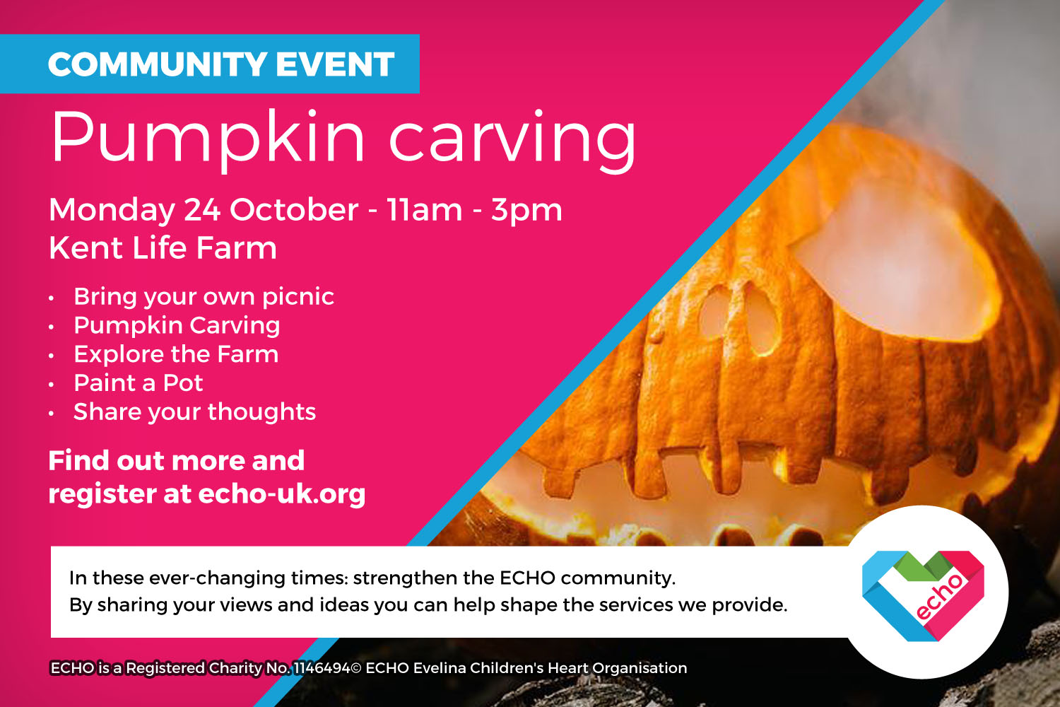 Pumpkin Carving, Paint a Pot, Explore the Farm ECHO